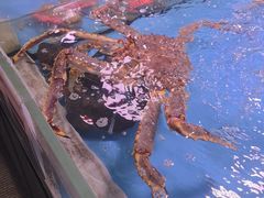 -金成潮菜博物馆(海珠湿地店)