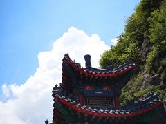 -阿五黄河大鲤鱼(纬三路店)