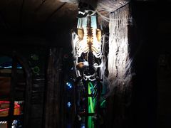 -青岛嘉年华主题乐园