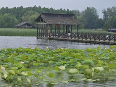 -溱湖国家湿地公园