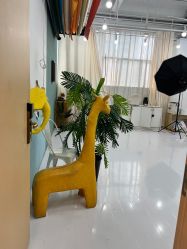 -小阿福儿童摄影(华中智谷店)