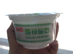 -德禄酸奶(莫家街店)