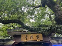 -杭州黄龙洞