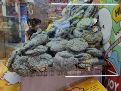 -LLJ夹机占(正佳广场店)