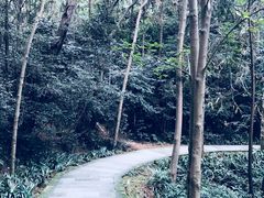 -窦圌山风景区