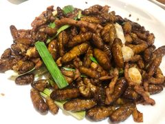 -金春禧(世茂国际广场店)