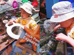 -沈阳海洋探索中心