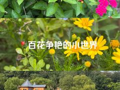 -南北湖风景区