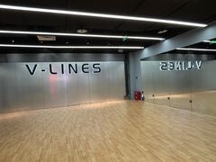 -VLines耀能运动24小时·月付制健身(京广桥店)