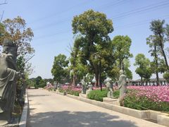 -仙岳公园