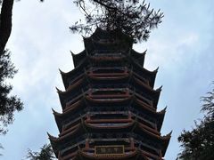 -金水泊山庄·花椒鸡(铁山坪店)