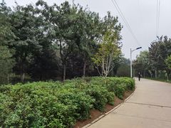 -秀水公园