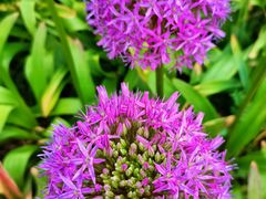 -国家植物园南园