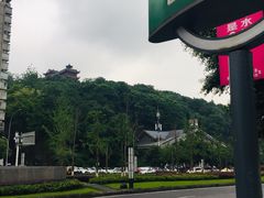 -大龙山(地铁站)