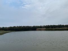 -东滩湿地公园观海楼餐厅