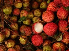 -红星农博物流中心