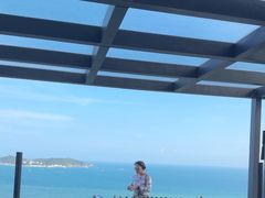 -瑰丽酒店·海吧·天际下午茶·现场DJ·天台酒吧