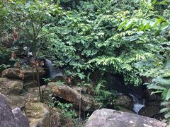 景点-四会奇石河风景区