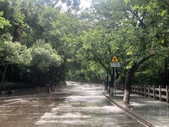 -水濂山森林公园