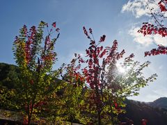 -丹东天桥沟景区