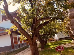 -夏津德百度假村温泉