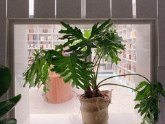 -二酉书店TOYOU BOOKS