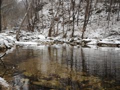 -黑河国家森林公园