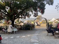 -长洲岛都市农业公园