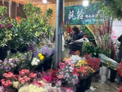 -桂林市花鸟市场