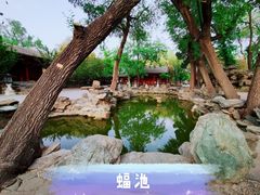 -恭王府博物馆