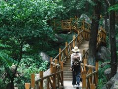 -大岭沟猕猴桃谷风景区