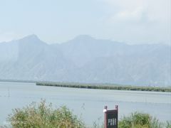 -哈素海