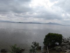 -深圳湾公园(南山区)