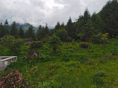 -硗碛藏寨·神木垒景区