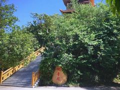-大屏嶂森林公园