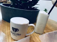 -喜马拉雅森HIMALAYAN FOREST