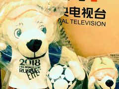 -中央广播电视总台(光华路办公区)