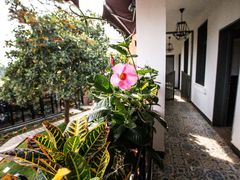 景观位-鹤庆人家·特色大理菜(羊仙坡店)