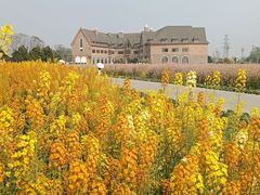 -中国天府农业博览园