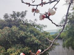 -西安锦江国际酒店