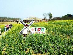 -武汉紫薇都市田园