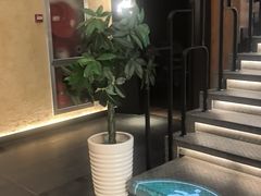 -新紫霞养生·影院足道·SPA(金山区店)