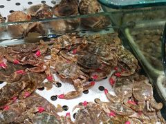 -渔码头食府·20年蓬莱老字号(登州路店)