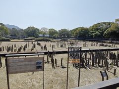 -河姆渡遗址博物馆