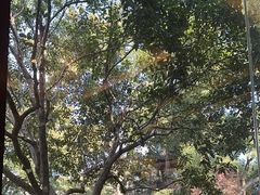 -浙江西子宾馆·瑶园咖啡厅