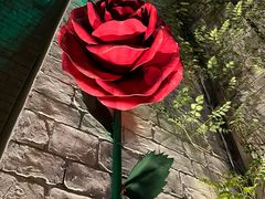 -华谊兄弟（长沙）电影小镇