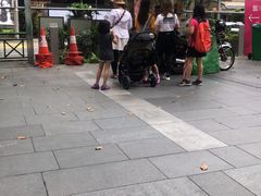 -詹爷爷乌节路街头冰淇淋