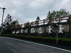 -杨家堂村