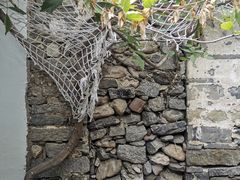 -喵屿·大理花园猫咖