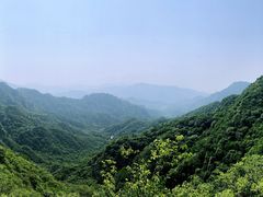 -大岭沟猕猴桃谷风景区